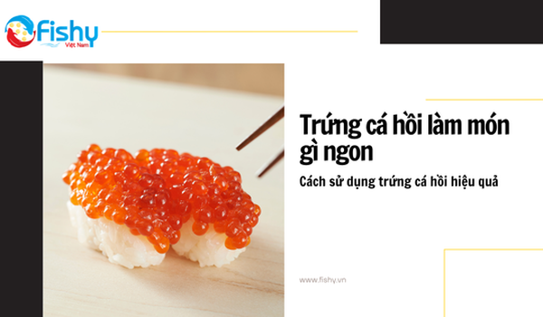 Trứng Cá Hồi Làm Món Gì Ngon? Cách Sử Dụng Trứng Cá Hồi Hiệu Quả