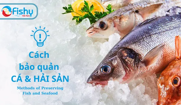 Các Phương pháp Bảo Quản Cá Và Hải Sản