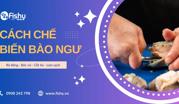 Cách chế biến bào ngư nguyên vỏ đông lạnh