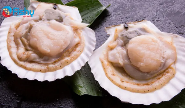 How To Defrost Scallops