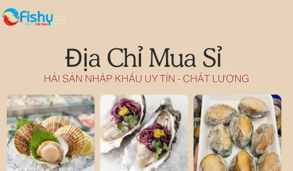 Địa Chỉ Mua Sỉ Hải Sản Nhập Khẩu Uy Tín - Chất Lượng