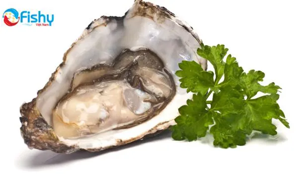 Top 3 Món Ngon Từ Hàu Nhật