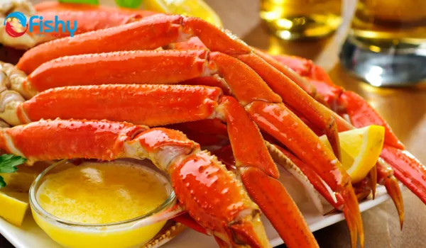 Chân Cua Tuyết – Hải Sản Cao Cấp Được Ưa Chuộng Trong Nhà Hàng Nhật & Âu