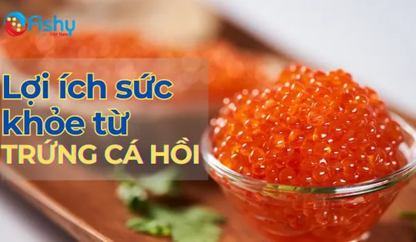 Trứng Cá Hồi Nguồn Dinh Dưỡng Và Lợi Ích Sức Khỏe