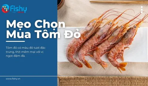 Tips for Choosing High-Quality Red Shrimp