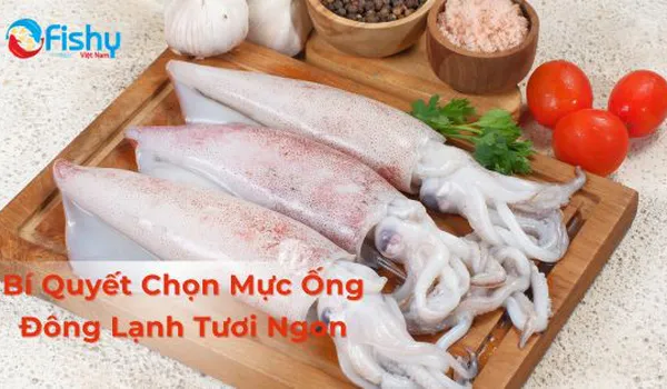 Bí Quyết Chọn Mực Ống Đông Lạnh Tươi Ngon