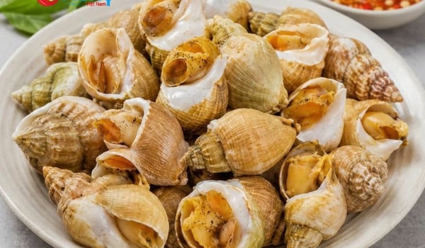 Ốc Bulot Pháp Làm Món Gì Ngon
