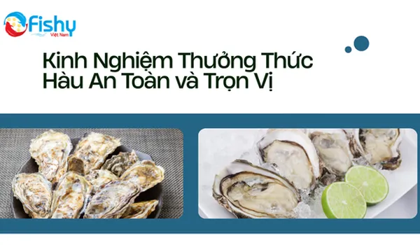 Câu Hỏi Thường Gặp Khi Ăn Hàu: Kinh Nghiệm Thưởng Thức An Toàn và Trọn Vị
