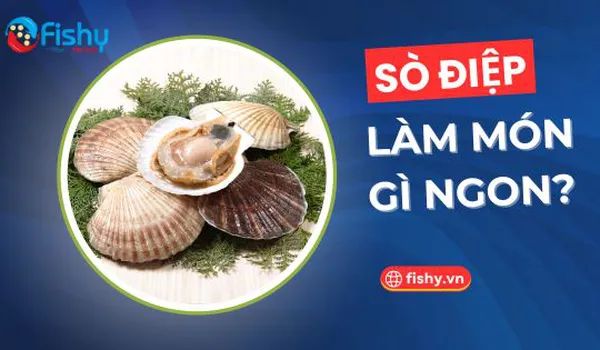 Cồi Sò Điệp Làm Món Gì Ngon?