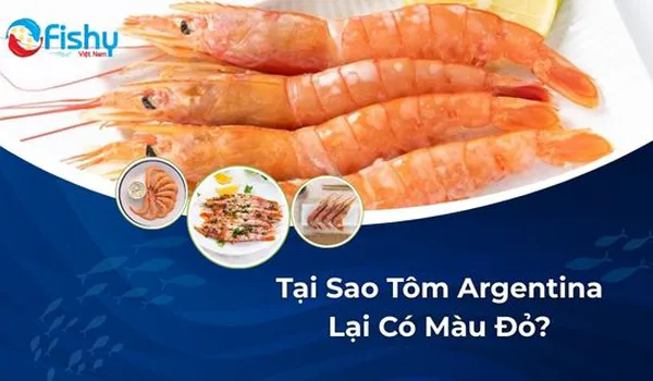 Tại Sao Tôm Argentina Lại Có Màu Đỏ?