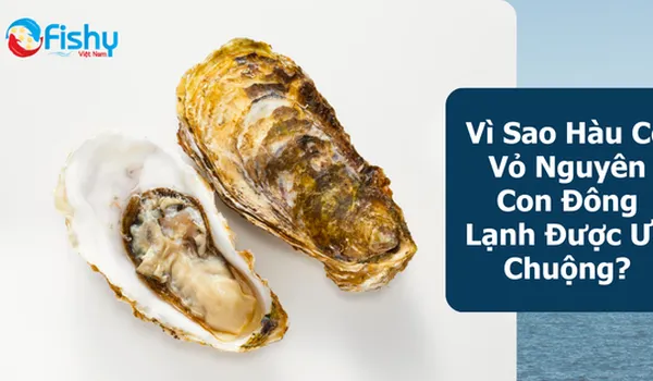 Vì Sao Hàu Có Vỏ Nguyên Con Đông Lạnh Được Ưa Chuộng?