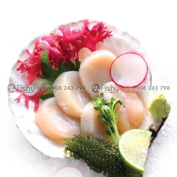 Frozen Sea Scallops
