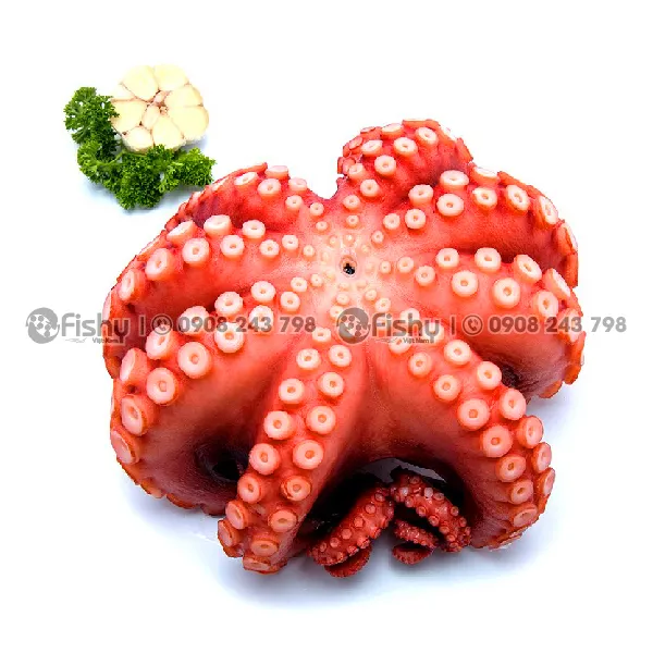 Frozen Boiled Octopus