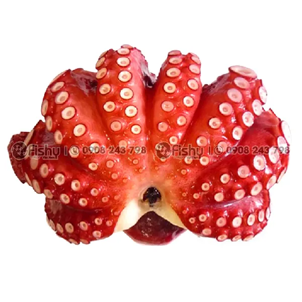 Frozen Boiled Octopus