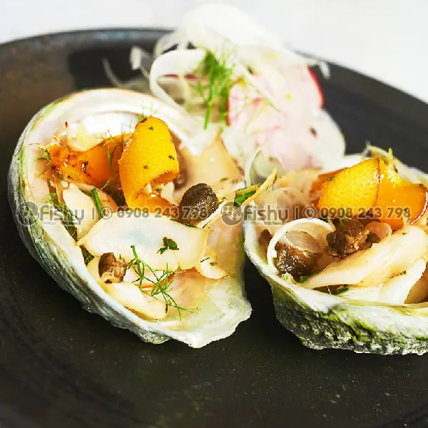 Bào Ngư Úc Viền Xanh Đông Lạnh