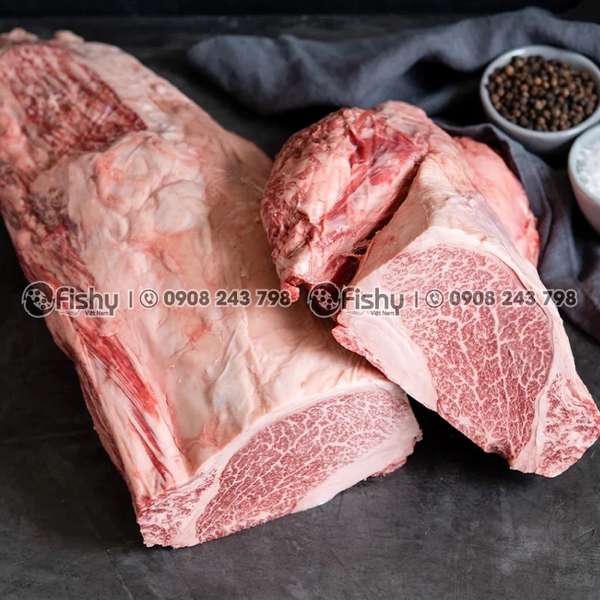 Tenderloin Wagyu A5