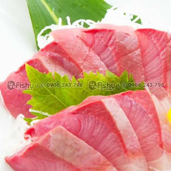 Cá Cam Phi Lê Đông Lạnh