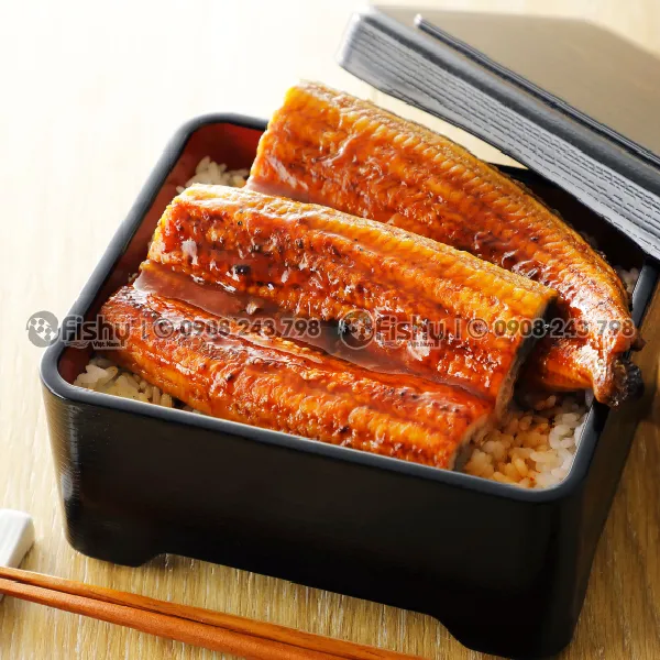 Frozen Roasted Eel