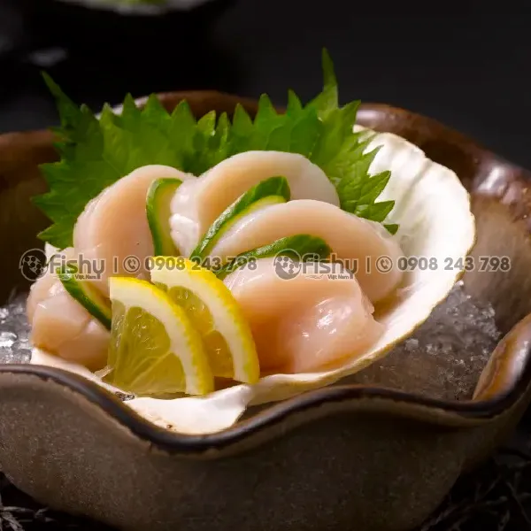 Frozen Sea Scallops
