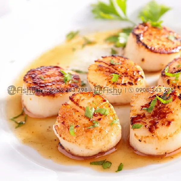 Frozen Sea Scallops