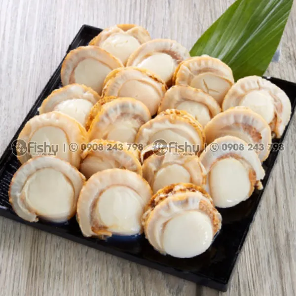 Cồi Sò Điệp Hấp