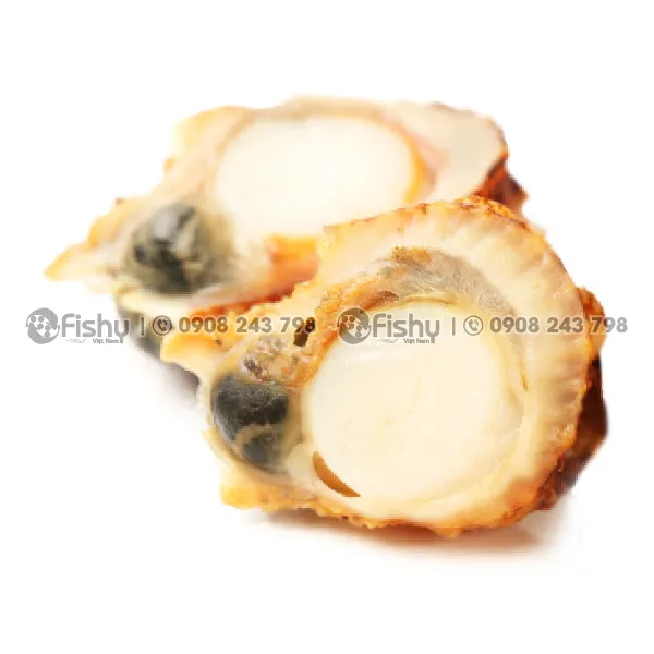 Cồi Sò Điệp Hấp