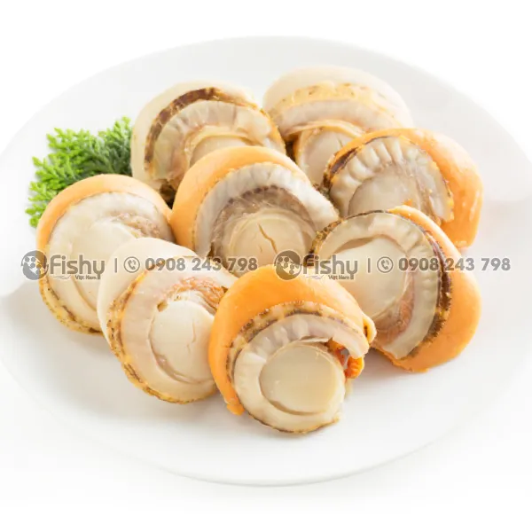 Cồi Sò Điệp Hấp