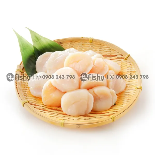 Frozen Sea Scallops