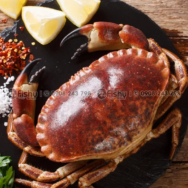 Frozen Whole Brown Crab