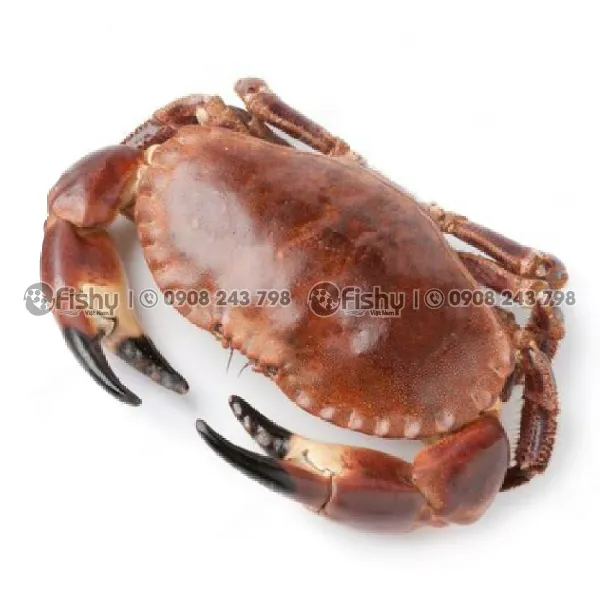 Frozen Whole Brown Crab