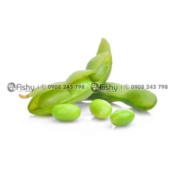 Đậu Nành Lông Edamame