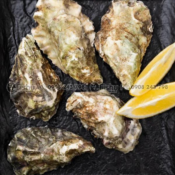 Whole oysters