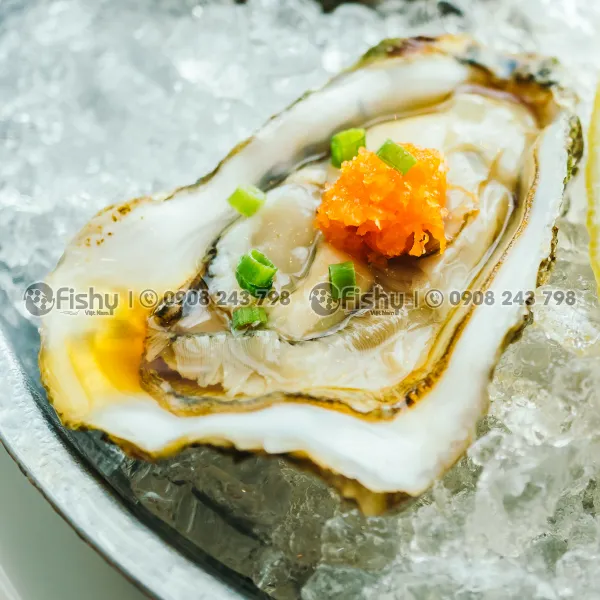Hàu Nửa Mảnh Đông Lạnh