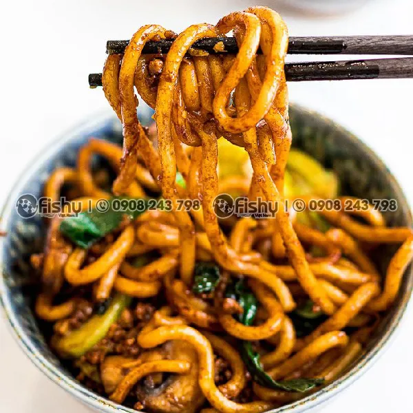 Frozen Udon Noodles