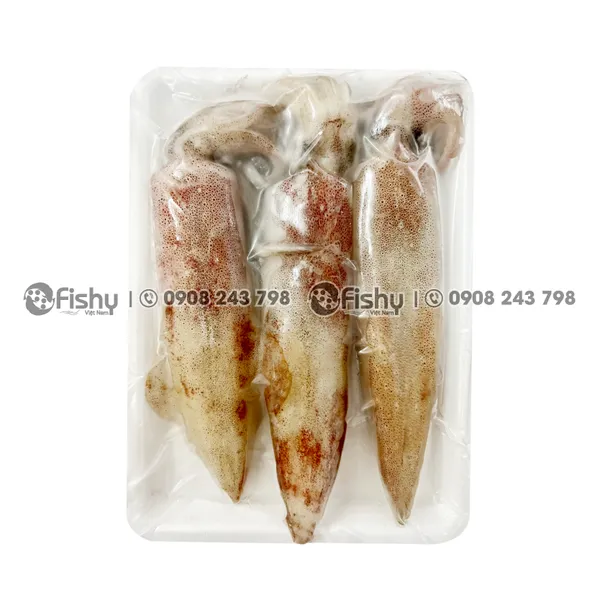 Frozen Whole Round Squid