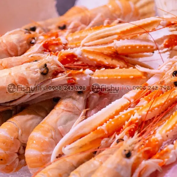 Tôm Langoustine
