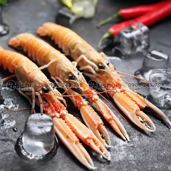 Tôm Langoustine