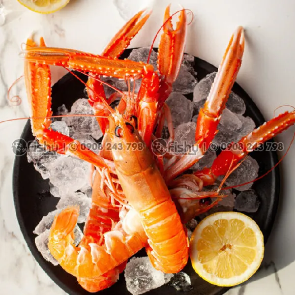 Tôm Langoustine