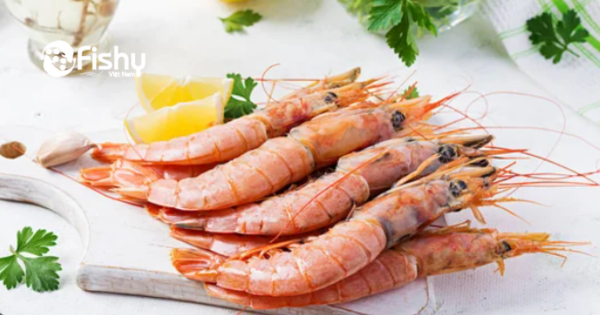 Red shrimp Red shrimp
