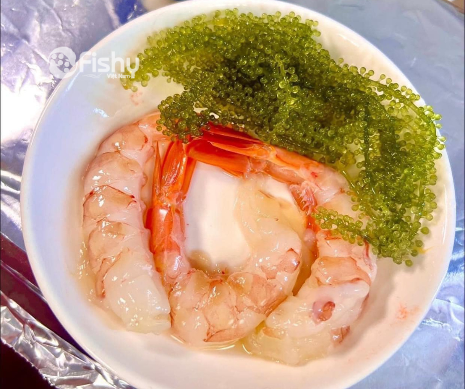 Tôm đỏ sashimi  Tôm đỏ sashimi