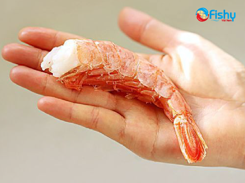 Characteristics of Atlantic Shell-On Red Shrimp Characteristics of Atlantic Shell-On Red Shrimp