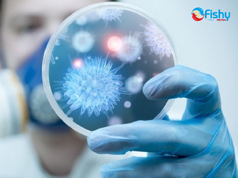 Microbial Testing:  Microbial Testing: