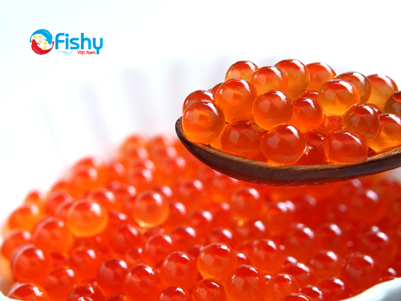 Trứng cá hồi là gì Trứng cá hồi là gì