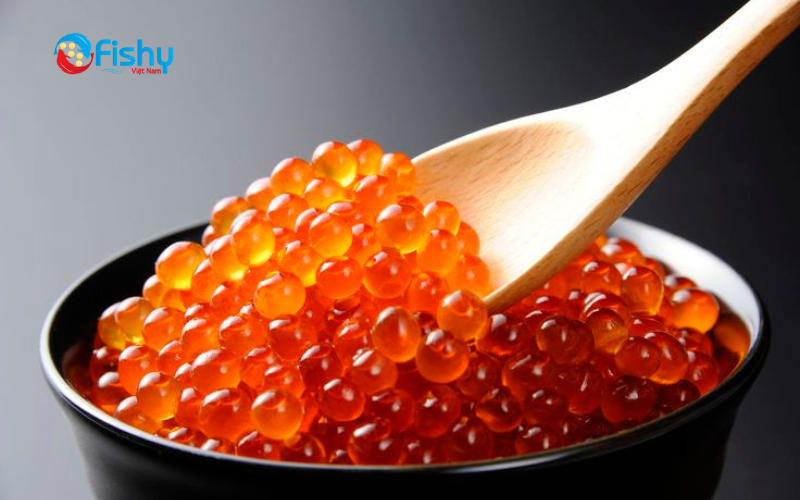 Trứng cá hồi dạng tròn  Trứng cá hồi dạng tròn