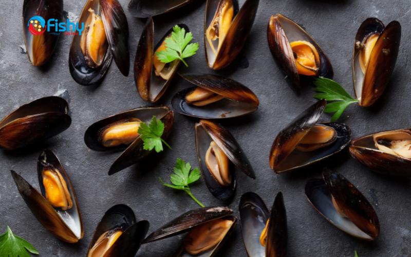 chile green mussels chile green mussels