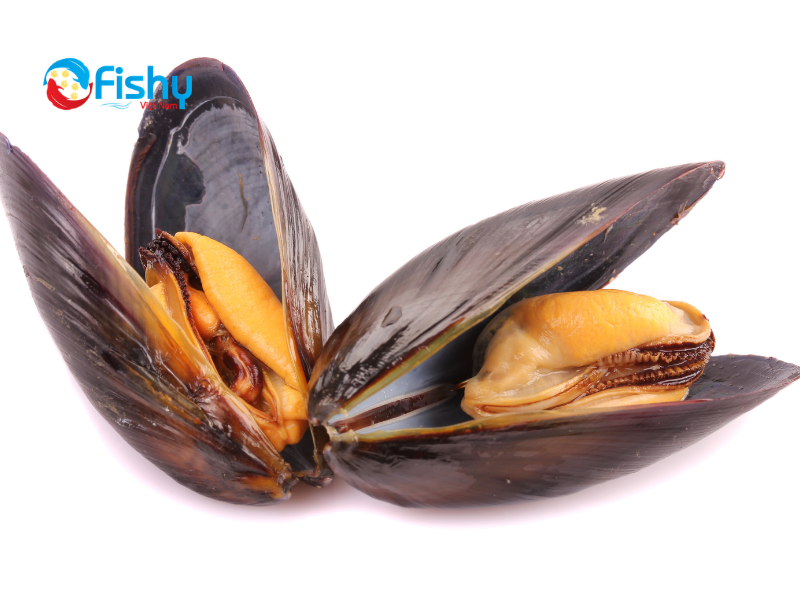 Chế Biến Vẹm Nướng Mỡ Hành Chế Biến Vẹm Nướng Mỡ Hành