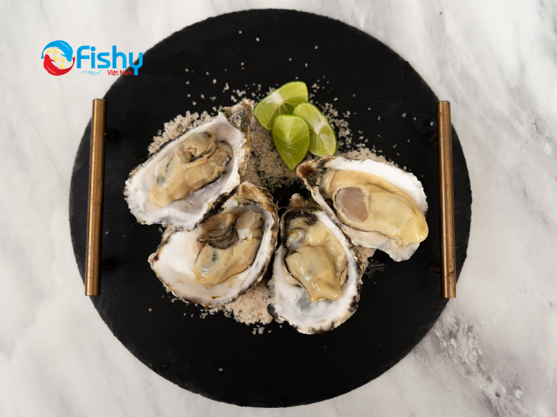 Hàu có vỏ nguyên con đông lạnh Hàu có vỏ nguyên con đông lạnh