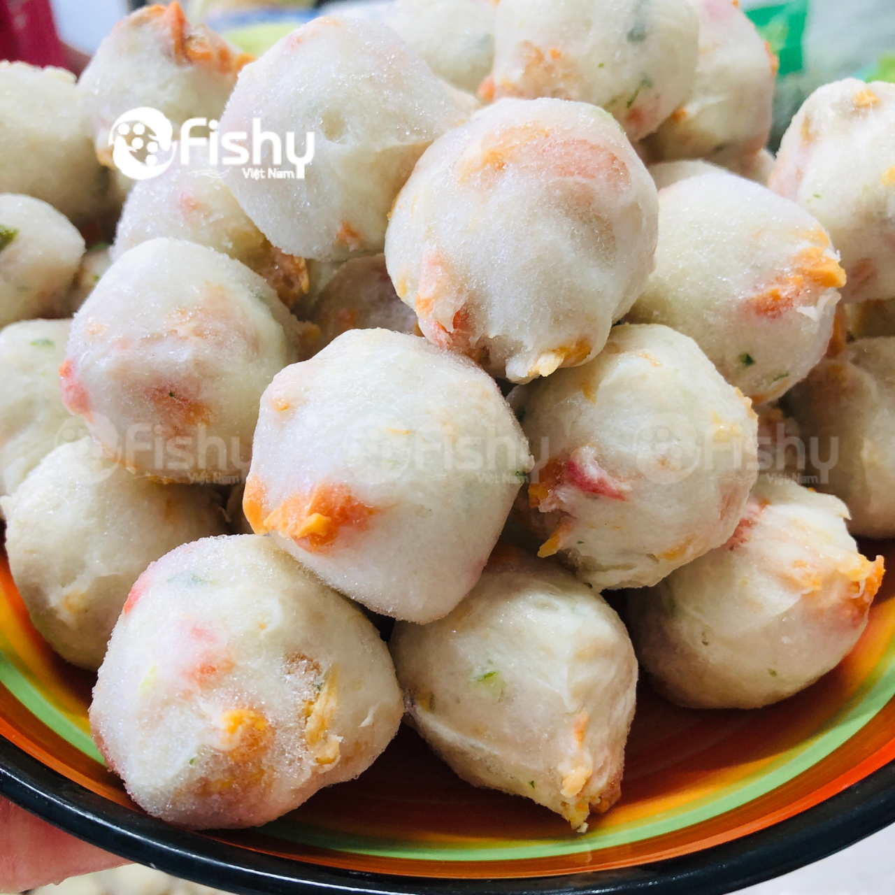 Viên tu hài Canada Viên tu hài Canada