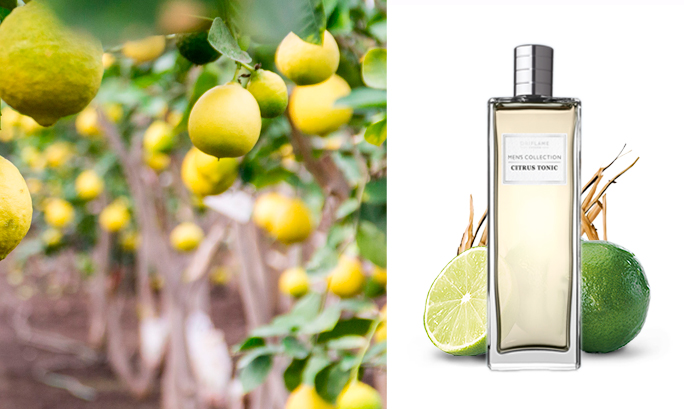 Men's clllection Tonic Men's clllection Tonic