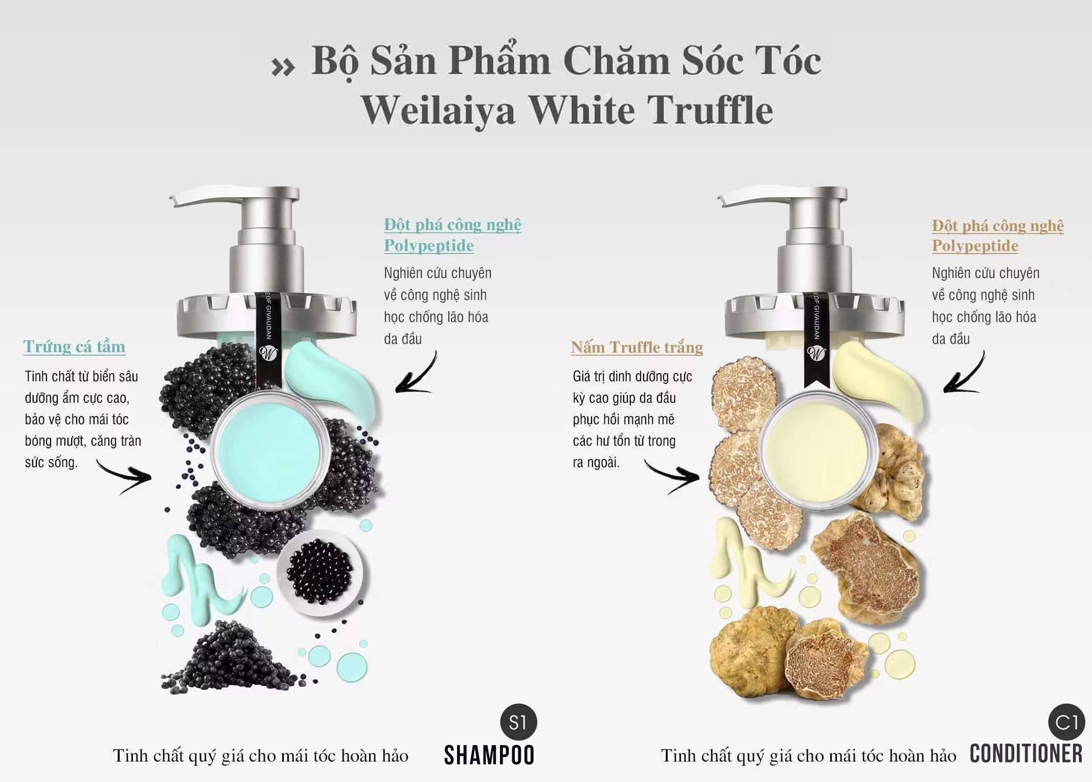 Bộ dầu gội xả phục hồi đa tầng nấm Truffle nhất định bạn phải dùng thử Bộ dầu gội xả phục hồi đa tầng nấm Truffle nhất định bạn phải dùng thử